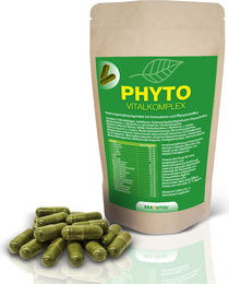 Phyto Vitalkomplex Kräuter-Komplex mit Chlorella vegan 540 Kapseln – Bild 1 von 1