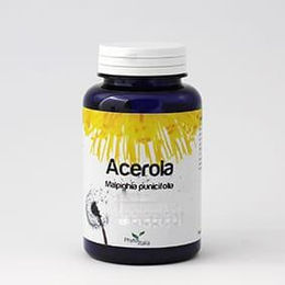 Phytoitalia Acerola Kapseln für Sportler 60 Stück – Bild 1 von 1