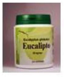 Phytoitalia Eucalyptus Kapseln 60 Stück – Bild 1 von 1