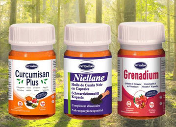 Phytomisan Immun Paket mit Kurkuma, Schwarzkümmelöl und Granatapfel als Kapseln – Bild 1 von 1