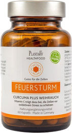 PlantaVis Curcuma plus Weihrauch Kapseln mit standardisiertem Extrakt 60 Stück – Bild 1 von 2