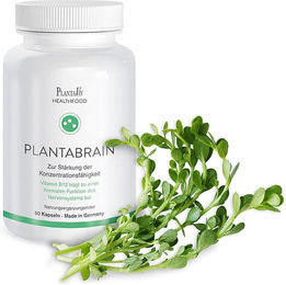 PlantaVis Kapseln 60 Stück – Bild 1 von 1