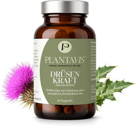 PlantaVis Mariendistel Kapseln vegan 60 Stück – Bild 1 von 4