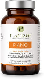 PlantaVis Piano Pinienrinde mit OPC Kapseln vegan 60 Stück – Bild 1 von 4