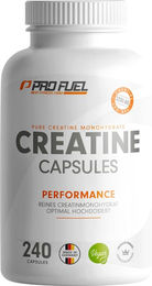ProFuel Creatin 5000 Giga Caps Creatin-Monohydrat Kapseln vegan 300 Kapseln – Bild 1 von 1