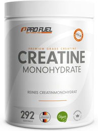 ProFuel Creatin Monohydrat Pulver 1kg vegan – Bild 1 von 1