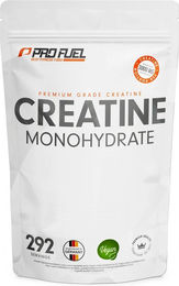 ProFuel Creatin Monohydrat Pulver vegan – Bild 1 von 1