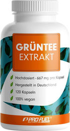 ProFuel Grüntee Extrakt Kapseln vegan hochdosiert mit 1333 mg pro Tag 120 Kapseln – Bild 1 von 3