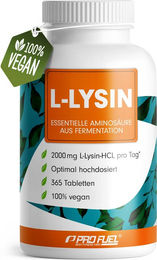 ProFuel L-Lysin Tabletten vegan 365 Stück – Bild 1 von 3