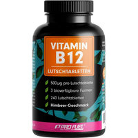 Produktbild von ProFuel Vitamin B12 Lutschtabletten zuckerfrei