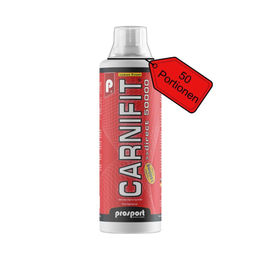Prosport Carnifit Direct 50000 L-Carnitin mit Vitamin B6 Lemon Fresh Flüssig 500 ml – Bild 1 von 3