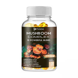 Pslalae Kräuter-Komplex Mushroom Complex 1995mg 120 Kapseln – Bild 1 von 4
