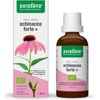Produktbild von Purasana Echinacea Forte Vegan Tropfen 50 ml
