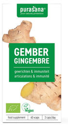 Purasana Ingwer 250 mg Kapseln vegan 60 Stück – Bild 1 von 1