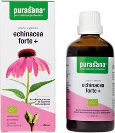 Purasana Purpur-Sonnenhut Echinacea forte Tropfen 100 ml – Bild 1 von 1