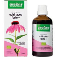 Produktbild von Purasana Purpur-Sonnenhut Echinacea forte Tropfen 100 ml