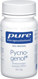 Pure Encapsulations Pycnogenol 50 mg Kapseln 60 Stück laktosefrei glutenfrei ohne Zusatzstoffe – Bild 1 von 1