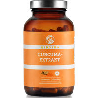 Produktbild von QIDOSHA Curcuma-Extrakt standardisiert vegan 120 Kapseln