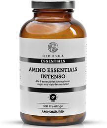 QIDOSHA Master Aminosäuren Komplex INTENSO Tabletten – Bild 1 von 1