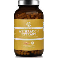 Produktbild von QIDOSHA Weihrauch Boswellia Serrata Extrakt 1000 mg Kapseln