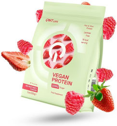 QNT Vegan Protein Mehrkomponenten Pulver Rote Früchte zuckerfrei laktosefrei glutenfrei 500 g – Bild 1 von 1