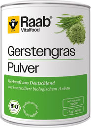 Raab Vitalfood Gerstengras Pulver Bio vegan glutenfrei – Bild 1 von 1