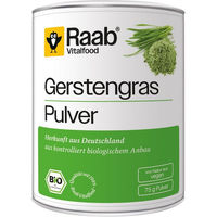 Produktbild von Raab Vitalfood Gerstengras Pulver Bio vegan glutenfrei