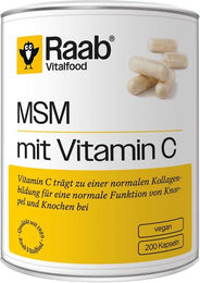 Raab Vitalfood MSM mit Vitamin C Bio Kapseln – Bild 1 von 1