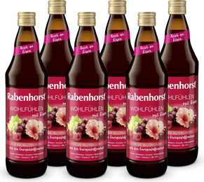Rabenhorst Wohlfühlen mit Eisen Fruchtsaftdrink Vegan 6 x 700 ml – Bild 1 von 5