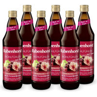 Produktbild von Rabenhorst Wohlfühlen mit Eisen Fruchtsaftdrink Vegan 6 x 700 ml