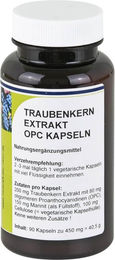 Reinhildis-Apotheke OPC Traubenkernextrakt 200 mg Kapseln vegetarisch 90 Stück – Bild 1 von 2
