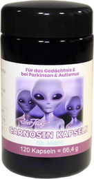 Robert Franz L-Carnosin Kapseln 120 Stück – Bild 1 von 1