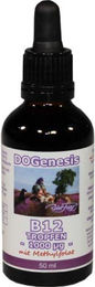 Robert Franz Vitamin B12 Tropfen 50 ml – Bild 1 von 1