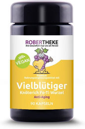 ROBERTHEKE Vielblütiger Knöterich Fo-Ti 400mg Kapseln – Bild 1 von 1