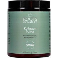 Produktbild von ROOTS OF NATURE Nahrungsergänzungsmittel Pulver 120 g