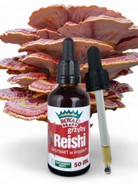 Royal Brand Reishi-Pilz Extrakt Tinktur 50 ml – Bild 1 von 4
