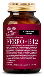 Salugea Ferro + B12 Liposomal Kapseln 60 Stück – Bild 1 von 4