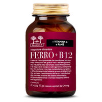 Produktbild von Salugea Ferro + B12 Liposomal Kapseln 60 Stück
