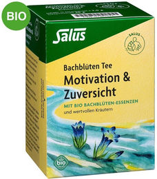 Salus Bachblüten Tee Motivation & Zuversicht Bio glutenfrei 15 Filterbeutel – Bild 1 von 5