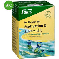 Produktbild von Salus Bachblüten Tee Motivation & Zuversicht Bio glutenfrei 15 Filterbeutel