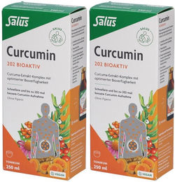 Salus Curcumin 202 Bioaktiv Tonikum mit Extrakt alkoholfrei glutenfrei laktosefrei hefefrei 500 ml – Bild 1 von 1