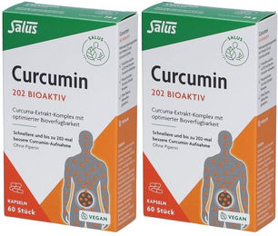 Salus Curcumin Extrakt Kapseln laktosefrei und glutenfrei 120 Stück – Bild 1 von 1