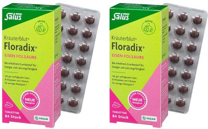 Salus Floradix Eisen Folsäure Tabletten mit Eisengluconat für Schwangere und Stillende 168 Stück – Bild 1 von 1
