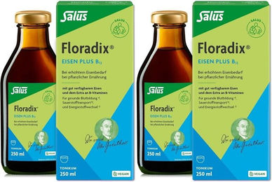 Salus Floradix Eisen plus B12 Flüssig vegan glutenfrei laktosefrei 250 ml – Bild 1 von 1