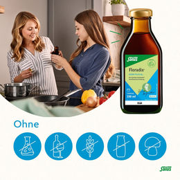 Salus Floradix Eisen plus B12 Kapseln vegan glutenfrei laktosefrei – Bild 1 von 1