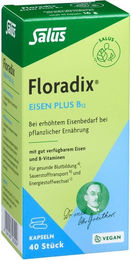 Salus Floradix Eisen plus B12 vegan Kapseln 40 Stück – Bild 1 von 4