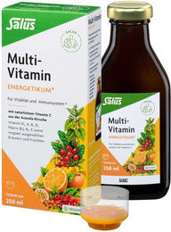 Salus Multivitamin Energetikum Flüssig 250 ml ohne Zusatzstoffe für Erwachsene Kinder und Schwangere sowie Stillende – Bild 1 von 3