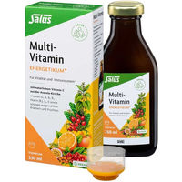Produktbild von Salus Multivitamin Energetikum Flüssig 250 ml ohne Zusatzstoffe für Erwachsene Kinder und Schwangere sowie Stillende