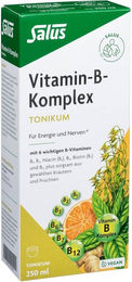 Salus Vitamin B Komplex Tonikum Flüssig 250 ml vegan vegetarisch ohne Zusatzstoffe für Kinder und Erwachsene – Bild 1 von 3