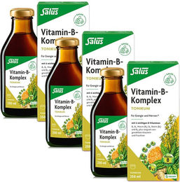 Salus Vitamin-B-Komplex Tonikum Flüssig Vegan für Senioren 250 ml – Bild 1 von 1